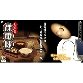 ���{�g���X�g�e�N�m���W�[ USB���d�� UL-HDENK