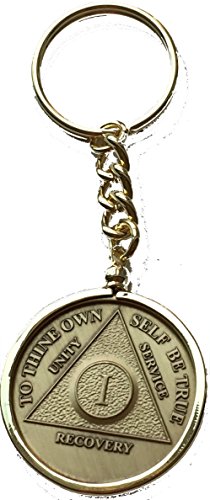 AA Medallion Keychain Sobriety Chip Holder 18k Gold Kenya Ubuy