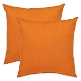 Outdoor Patio Plantation Patterns Orange Decorative Pillow Set - Set of 2
