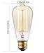 Rolay 6 Pack, 25 Watt Vintage Edison Light Bulb with Squirrel Cage Filament, 110~130 Volts, E26 Base