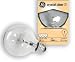 GE 12983 25 Watt Globe G25 Light Bulb, Crystal Clear, 6 Pack