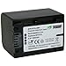 Wasabi Power Battery for Sony NP-FV70 and Sony DCR-SR15, SR21, SR68, SR88, SX15, SX21, SX44, SX45, SX63, SX65, SX83, SX85, HDR-CX105, CX110, CX115, CX130, CX150, CX155, CX160, CX190, CX200, CX210, CX220, CX230, CX260V, CX290, CX300, CX305, CX350V, CX360V, CX380, CX430V, CX520V, CX550V, CX560V, CX580V, CX700V, CX760V, HC9, PJ10, PJ30V, PJ50, PJ200, PJ230, PJ260V, PJ380, PJ430V, PJ580V, PJ650V, PJ710V, PJ760V, PJ790V, TD10, TD20V, TD30V, XR150, XR155, XR160, XR260V, XR350V, XR550V, HXR-MC50U, NX30U, NX70U, NEX-VG10, VG20, VG30, VG30H, VG900, DEV-3, DEV-5