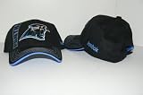 NFL Carolina Panthers Digital Stitches Baseball Hat