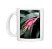 Photo Mugs of DAD-1863 Billbergia windii - Hybrid bromeliad - a secluded high-walled garden from Ardea Wildlife Pets