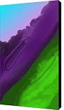 wtf 1 Canvas Print / Canvas Art Artist David Lane wtf 1 Canvas Print / Canvas Art Artist David Lane