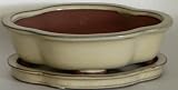 BuyBonsai's Bonsai Pot 8 Lotus Beige with Tray