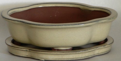 BuyBonsai's Bonsai Pot 8 Lotus Beige with Tray