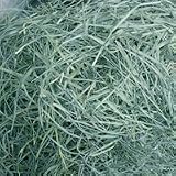 Oxbow Orchard Grass Hay