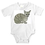 Onesie with kitten, abyssinian, cat, feline