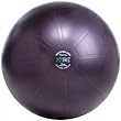 GoFit 65cm Professional Stability Ball