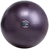 GoFit 65cm Professional Stability Ball