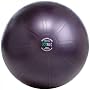 GoFit 65cm Professional Stability Ball