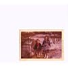 Summer Above