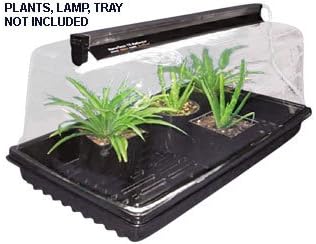 Grow Chamber Dome