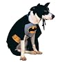 Batman Medium Pet Costume