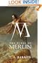 The Wings of Merlin (The Lost Years of Merlin)