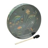 Remo OCEAN DRUM - 16 &acute; x 2 1 / 2 &acute; FISH - B000SN4GQ8