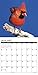 2016 Cardinals Wall Calendar