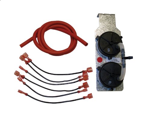 Rheem 42-24166-89 Pressure Switch Dual Rheem 42-24166-89 Pressure Switch Dual