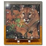 Florida Rare Panther - 6x6 Desk Clock