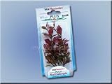 Tetra 606715 Plantastic Plus Red Ludwigia (Rote Ludwigia) 38 cm - Aquarien-Dekorationspflanze