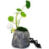 Avatar Pandora Hearts Colorful Mushroom Lamp Light Control Rock Version
