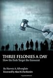 Three Felonies a Day