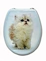WC-Sitz Toilettendeckel Klodeckel Klobrille PERSERKATZE