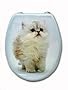 WC Sitz * Wei�e Babykatze *