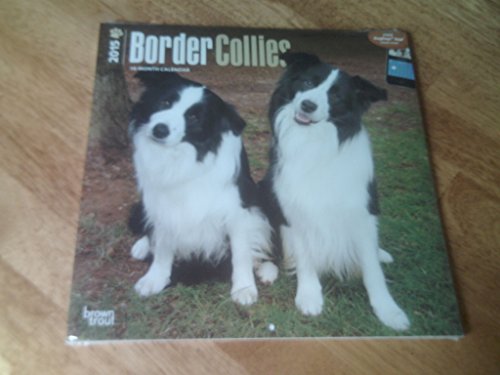 Border Collies 2015 Wall Calendar