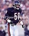 Mike Singletary Chicago Bears 8x10 Photo