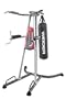 Weider WEBE3010 390 LT Power Tower Home Gym