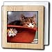 Cats - Love You Cat In The Hat - Tile Napkin Holders