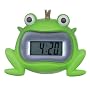 Frog Froggy PRINCE toad ALARM CLOCK home decor travel