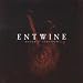 Entwine-Best of Entwine
