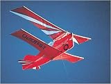 Grumman Gulfhawk Squadron Airplane Kite Kit