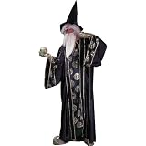 Merlin Wizard Adult Costume