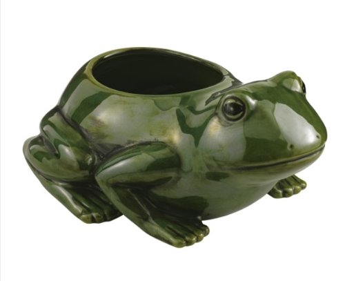Ceramic Frog Planter