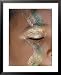 A Child Sports Glitter Face Paint During the Annual Notting Hill Carnival National Geographic Collection Framed Art Poster Print by Jodi Cobb, 25x31