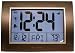 CHANEY INSTRUMENT Dartmouth Atomix Digital Desk Clock