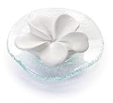 Frangipani Stone Diffuser