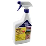 Bonide #127 Quart RTU Hot Pepper Wax