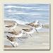 SAND PIPER tile Beach STONE COASTERS Set 4 HOME Decor