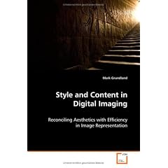 Style and Content in Digital Imaging: Reconciling Aesthetics with Efficiency in Image Representation