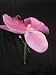 Purple Orchid Boutonniere Wedding Flower Pearl Pin
