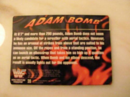 ADAM BOMB (Bryan Clark) - WWF 1995 Action Packed "HIGH FLYERS OF THE RING" Wrestling Card #39