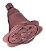 Danze D461641AC 5-1/2-Inch Lily Showerhead Antique Copper