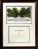 Graduation Diploma Frame & Pic University of South Florida Bulls NCAA Item