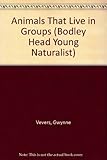 Animals that live in groups