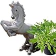 Mythical Unicorn statue home garden decor sculpture New (The Digital Angel)